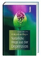 bokomslag Hildegard von Bingen - Natürliche Wege aus der Depression