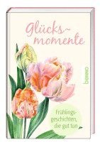 bokomslag Glücksmomente