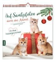 bokomslag Auf Samtpfoten durch den Advent