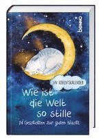 bokomslag Wie ist die Welt so stille