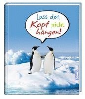 Lass den Kopf nicht hängen! 1