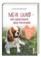 bokomslag Mein Hund - ein Geschenk des Himmels