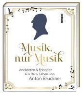 bokomslag Musik, nur Musik