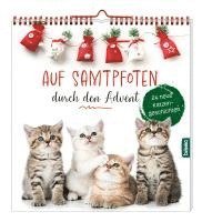 bokomslag Auf Samtpfoten durch den Advent