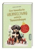 bokomslag Eine himmlische Überraschung unterm Tannenbaum