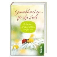 bokomslag Gänseblümchen für die Seele