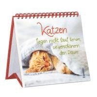 bokomslag Katzen liegen nicht faul herum, sie verschönern den Raum