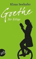 bokomslag Goethe für Eilige