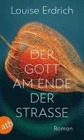 Louise Erdrich - Der Gott am Ende der Straße, Häftad