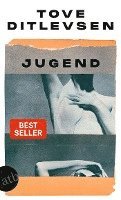 Tove Ditlevsen - Jugend, Häftad
