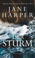 bokomslag Der Sturm