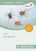 bokomslag Die Spinne