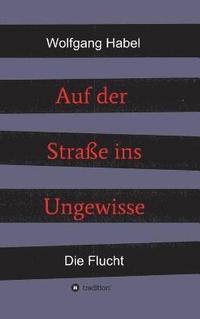 bokomslag Auf der Straße ins Ungewisse