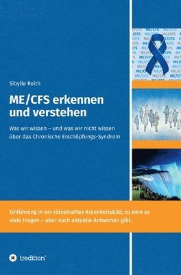 bokomslag ME/CFS erkennen und verstehen