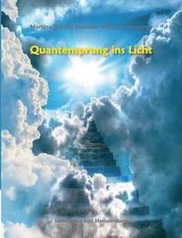 bokomslag Quantensprung ins Licht