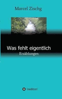 bokomslag Was fehlt eigentlich: Erzählungen