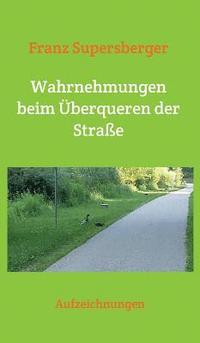 bokomslag Wahrnehmungen beim Überqueren der Straße