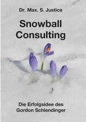 Snowball Consulting 1