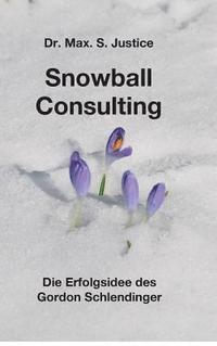 bokomslag Snowball Consulting