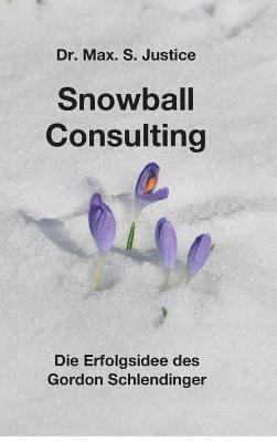 Snowball Consulting 1