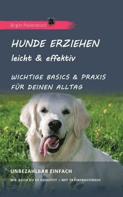 bokomslag Hunde erziehen - leicht & effektiv: Wichtige Basics & Praxis für Deinen Alltag