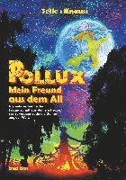bokomslag POLLUX - Mein Freund aus dem All
