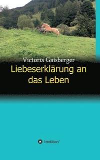 bokomslag Liebeserklärung an das Leben