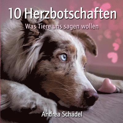 10 Herzbotschaften 1