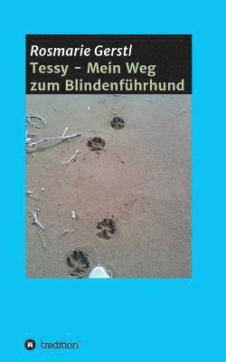 bokomslag Tessy - Mein Weg zum Blindenführhund