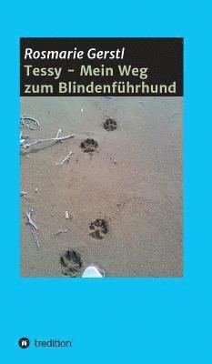 bokomslag Tessy - Mein Weg zum Blindenführhund