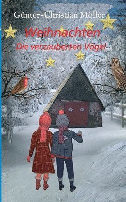 Weihnachten: Die verzauberten Vögel 1