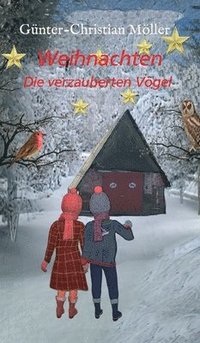 bokomslag Weihnachten: Die verzauberten Vögel