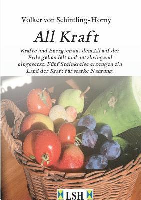 bokomslag All Kraft: Kräfte und Energien aus dem All auf der Erde gebündelt und nutzbringend eingesetzt. Fünf Steinkreise erzeugen ein Land