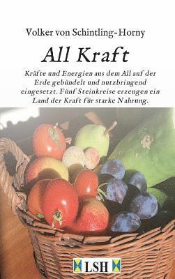 bokomslag All Kraft: Kräfte und Energien aus dem All auf der Erde gebündelt und nutzbringend eingesetzt. Fünf Steinkreise erzeugen ein Land