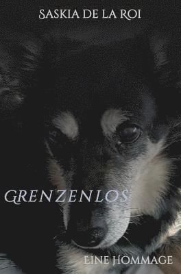 Grenzenlos 1