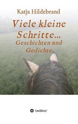 bokomslag Viele kleine Schritte...: Geschichten und Gedichte