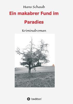 Hans Schaub - Ein makabrer Fund im Paradies, Häftad