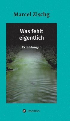 Marcel Zischg - Was fehlt eigentlich, Inbunden