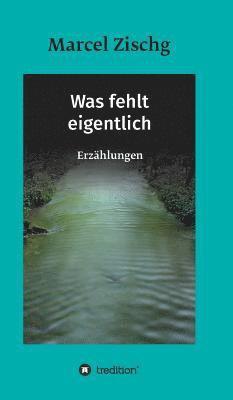 Marcel Zischg - Was fehlt eigentlich, Inbunden