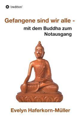 bokomslag Gefangene sind wir alle: mit dem Buddha zum Notausgang