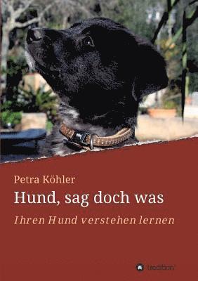 bokomslag Hund, sag doch was