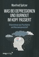 bokomslag Was bei Depressionen und Burnout im Kopf passiert