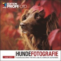 bokomslag Hundefotografie