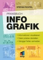 Stefan Fichtel ixtract GmbH - Praxisbuch Infografik, Inbunden