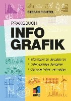 bokomslag Praxisbuch Infografik