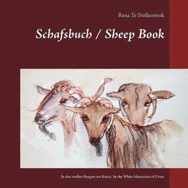 bokomslag Schafsbuch / Sheep Book