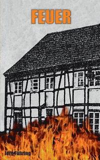 bokomslag Feuer