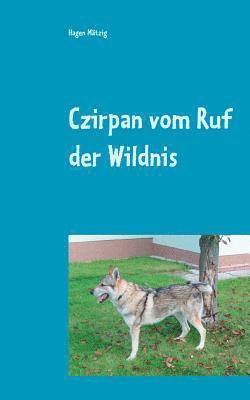 Czirpan vom Ruf der Wildnis 1