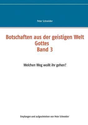 Peter Schneider - Botschaften aus der geistigen Welt Gottes, Häftad