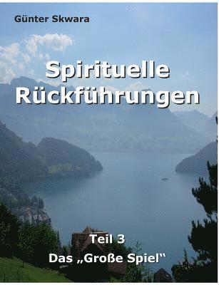 bokomslag Spirituelle Rckfhrungen